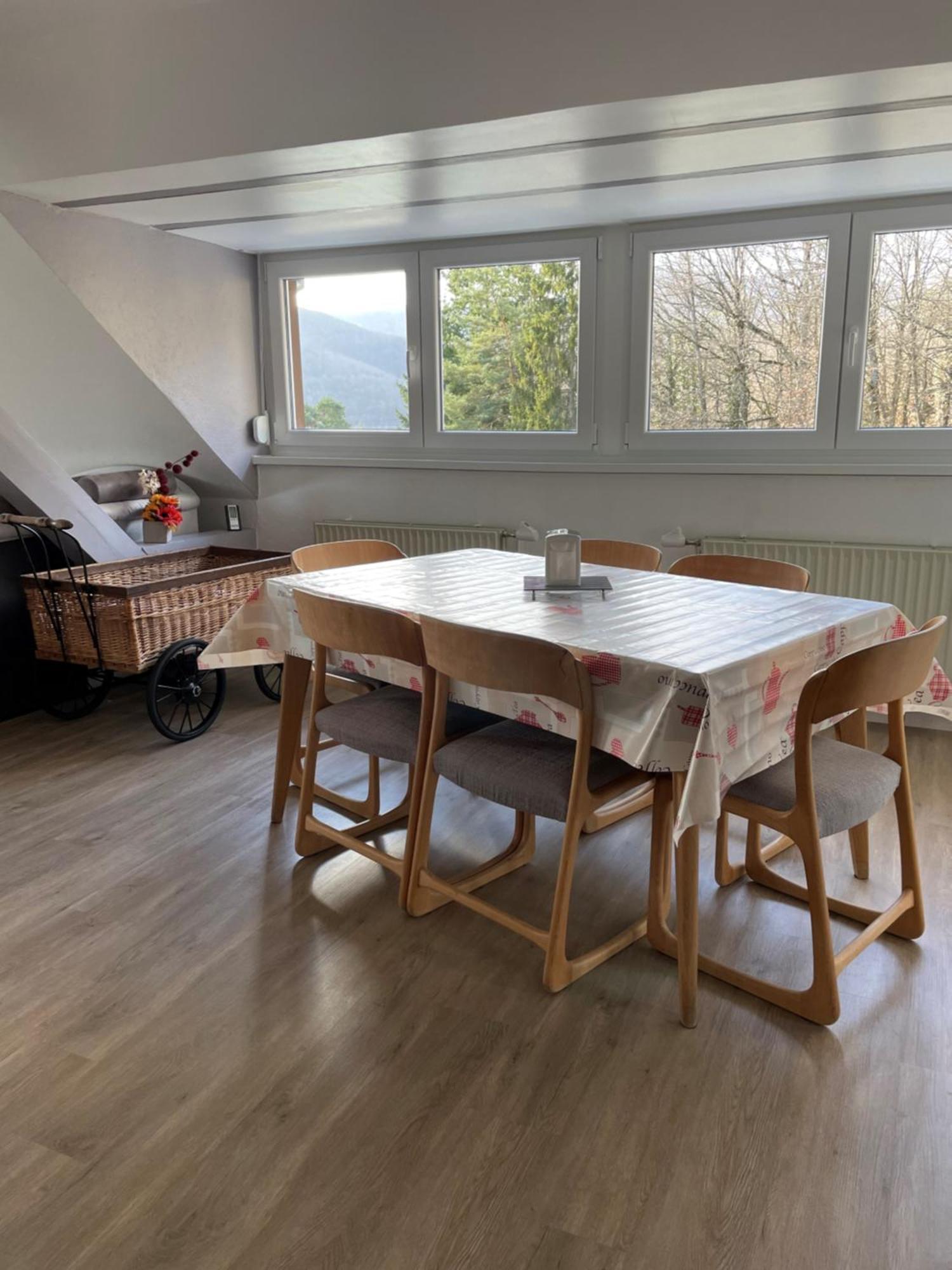 Gite Spacieux, Lumineux Et Tres Cosy Lautenbach Εξωτερικό φωτογραφία