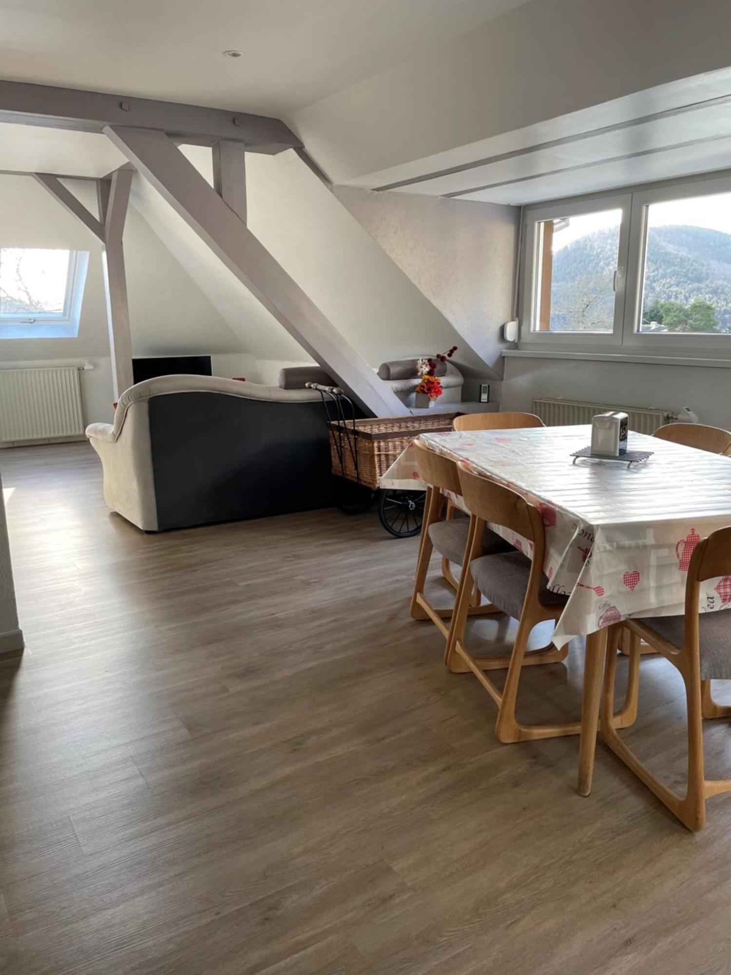 Gite Spacieux, Lumineux Et Tres Cosy Lautenbach Εξωτερικό φωτογραφία